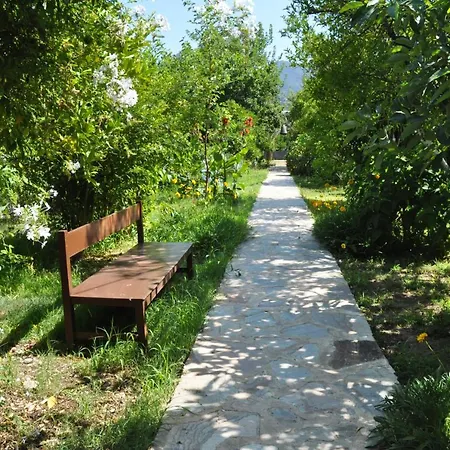 San Simon * Cirali